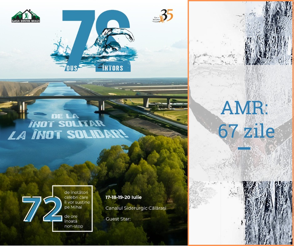 Casa dintre Brazi, MIhai Badea,